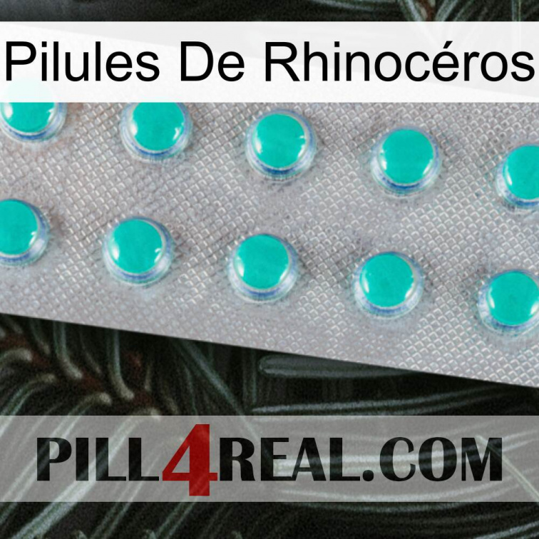 Pilules De Rhinocéros 28